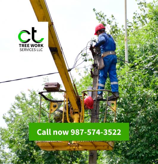 Landscaping Google my business services